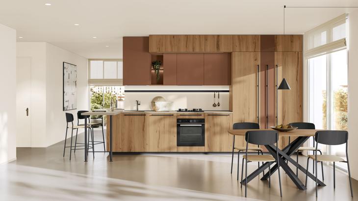 Cucine Creo Kitchen - Modello Maxima #26