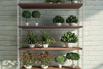 Complementi &raquo; Librerie e Mensole