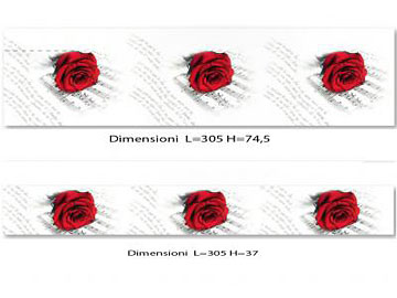 Sfondi fotografici _ ROSE