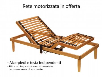 RETI MOTORIZZATE